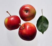 Julyred æbler